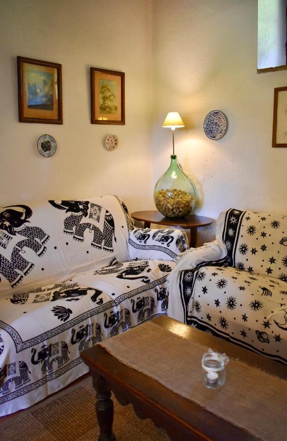 Aparthotel Palazzo Di Bagnaia Castel del Piano  Esterno foto