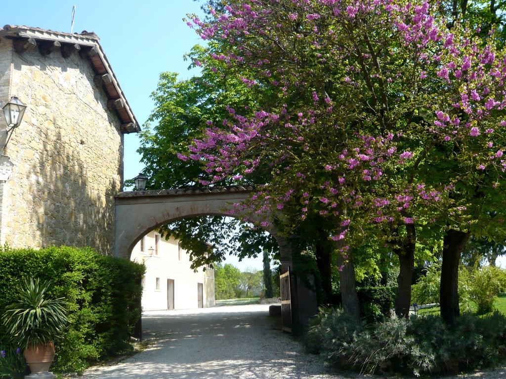 Aparthotel Palazzo Di Bagnaia Castel del Piano  Esterno foto