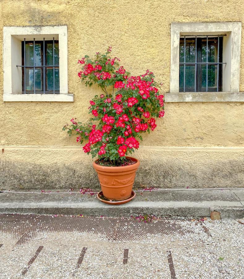 Aparthotel Palazzo Di Bagnaia Castel del Piano  Esterno foto